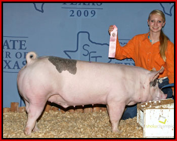State Fair of Texas